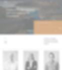 A Wix portfolio template for construction and engineering consultants.
